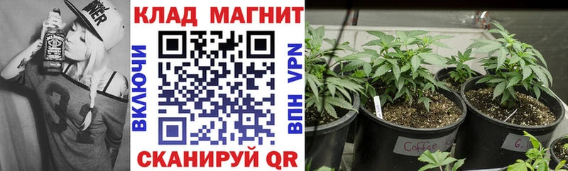 Купить наркотик Островной Alpha-PVP  Cocaine  МЕГА ТОР  Псилоцибиновые грибы  Канабис  МЕФ 