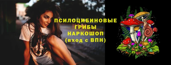 ПСИЛОЦИБИНОВЫЕ ГРИБЫ Арсеньев