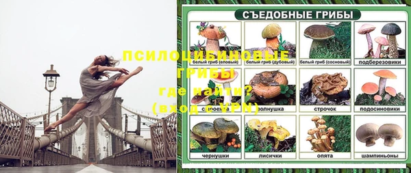 mix Аркадак