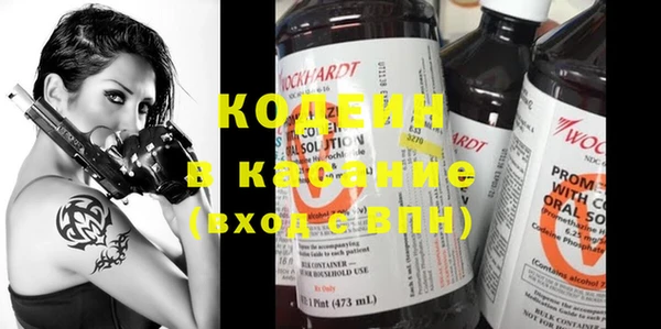 ПСИЛОЦИБИНОВЫЕ ГРИБЫ Арсеньев